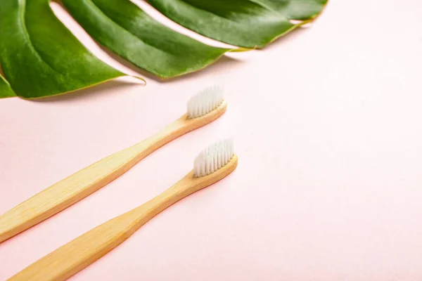 Wooden Tooth Brushes Tropical Leaf Color Background — Stock Photo, Image