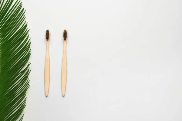 Brosses Dents Bois Avec Feuille Palmier Sur Fond Blanc — Photo