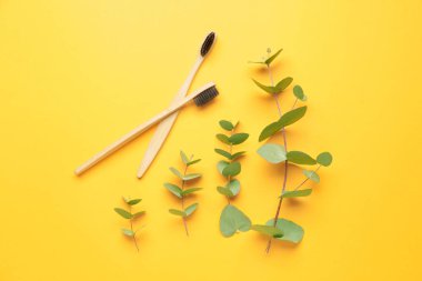 Renkli arka planda tahta diş fırçaları