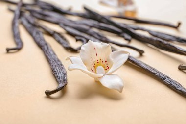 Renkli arkaplanda Aromatik vanilya çubukları, yakın plan