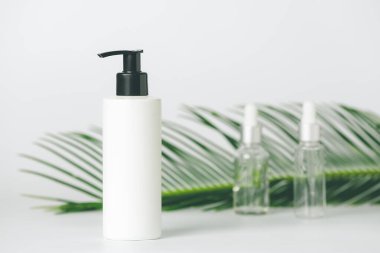 Açık arkaplanda bitkisel özlü şampuan.