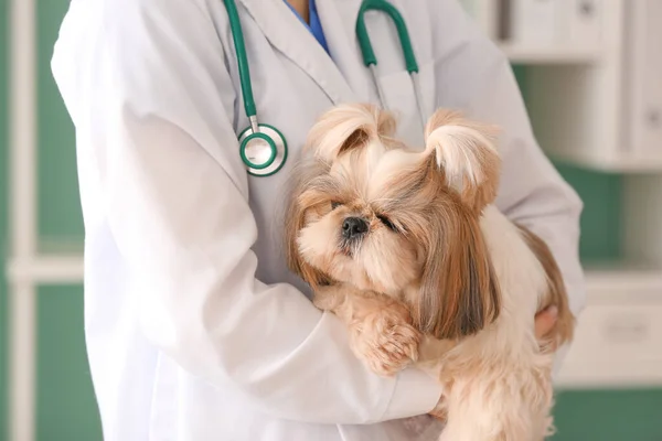 クリニックでかわいい犬と獣医 — ストック写真