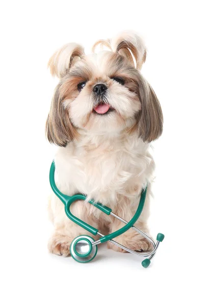 Roztomilý Pes Stetoskopem Bílém Pozadí — Stock fotografie