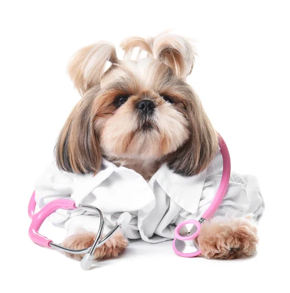 Cute Dog Dressed Doctor White Background — Stock Photo, Image