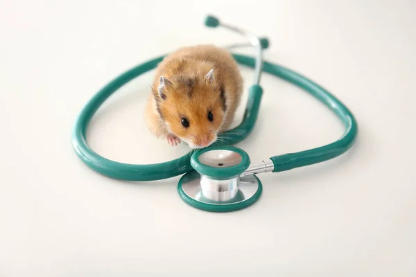 Söt Hamster Och Stetoskop Vit Bakgrund — Stockfoto