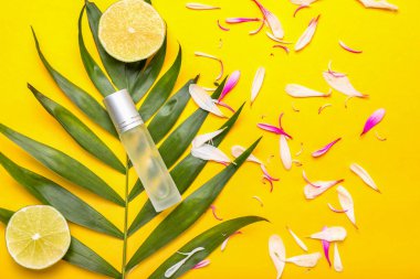 Renkli arka planda parfüm şişesi olan güzel bir kompozisyon