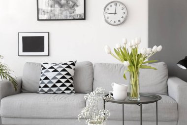 Rahat kanepesi olan modern bir oda.