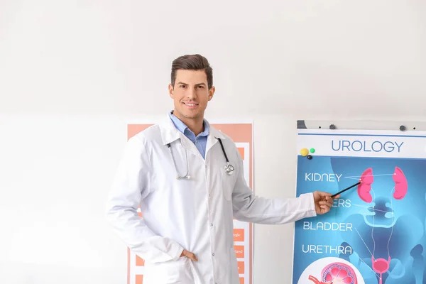 Young Urologist Modern Clinic — Stock Photo, Image