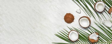 Açık arkaplan üzerinde olgun hindistan cevizi ve palmiye yaprakları metin için boşluk ile