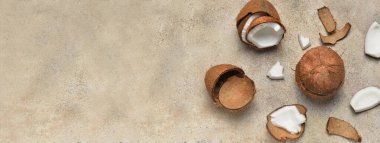 Gri arkaplanda olgun hindistan cevizleri ve metin için boşluk