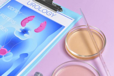 Renk arkaplan üzerinde urojenital sistem ve idrar örneği resmi