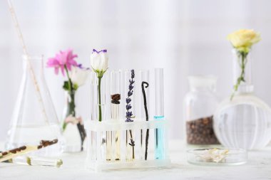 Masada parfüm örnekleri