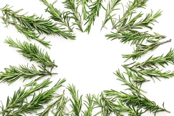 Frame Made Fresh Rosemary White Background — Stock Photo, Image