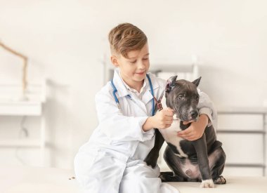 Küçük veteriner klinikte şirin bir köpeği muayene ediyor.