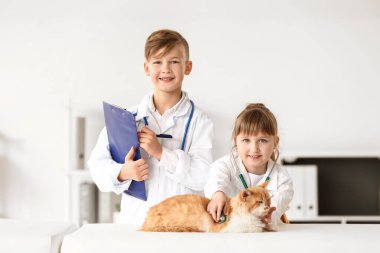 Klinikte şirin kedileri muayene eden küçük veterinerler.