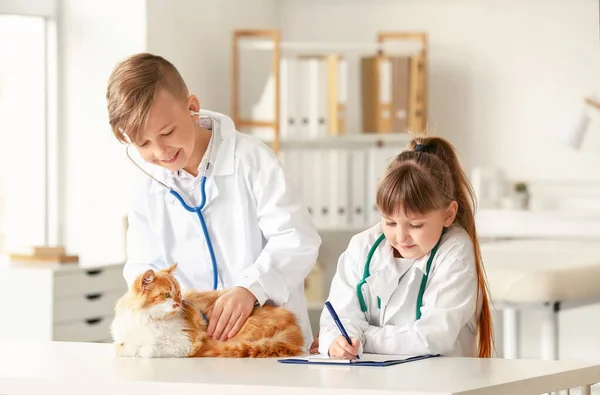Kis Állatorvosok Vizsgálja Aranyos Macska Klinikán — Stock Fotó