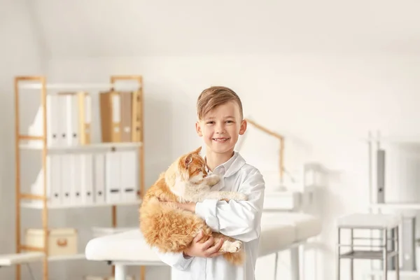 Kis Állatorvos Aranyos Macska Klinikán — Stock Fotó