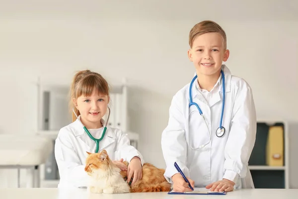 Pequenos Veterinários Examinando Gato Bonito Clínica — Fotografia de Stock