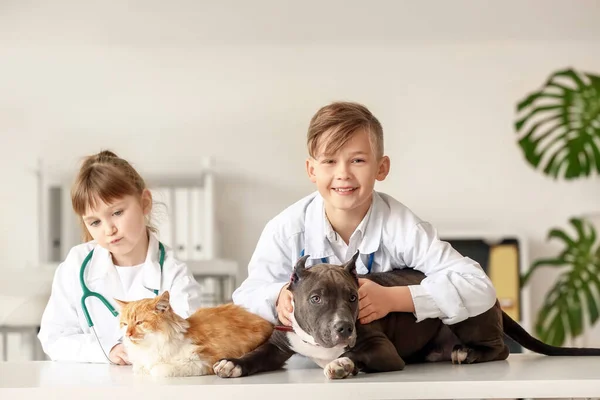 クリニックで動物を調べる小さな獣医師 — ストック写真