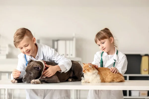 Kis Állatorvosok Akik Állatokat Vizsgálnak Klinikán — Stock Fotó
