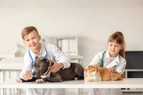 Pequenos Veterinários Examinando Animais Clínica — Fotografia de Stock