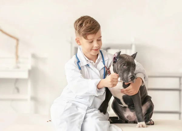 Kis Állatorvos Vizsgálata Aranyos Kutya Klinikán — Stock Fotó
