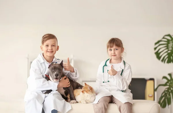 Pequenos Veterinários Examinando Animais Clínica — Fotografia de Stock