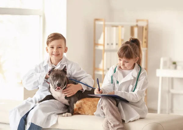 Pequenos Veterinários Examinando Animais Clínica — Fotografia de Stock