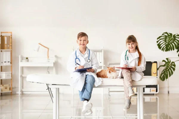 Pequenos Veterinários Examinando Gato Bonito Clínica — Fotografia de Stock