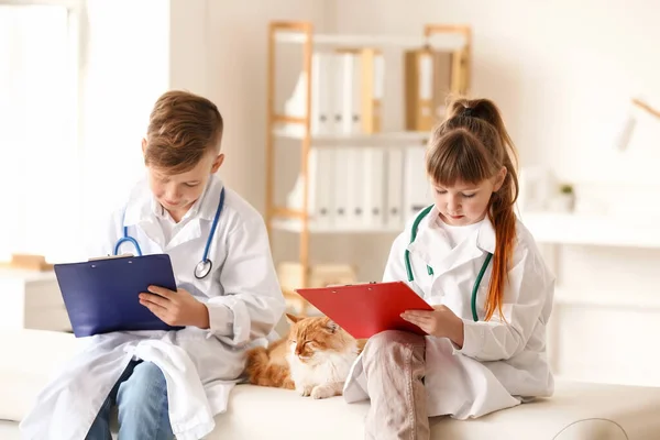 Pequenos Veterinários Examinando Gato Bonito Clínica — Fotografia de Stock