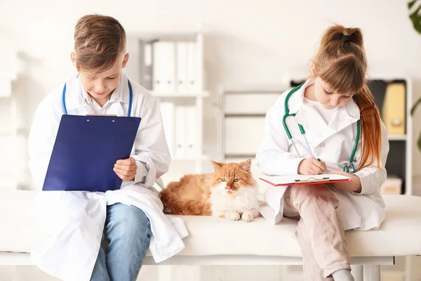 Kis Állatorvosok Vizsgálja Aranyos Macska Klinikán — Stock Fotó
