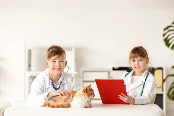 Pequeños Veterinarios Examinando Lindo Gato Clínica — Foto de Stock