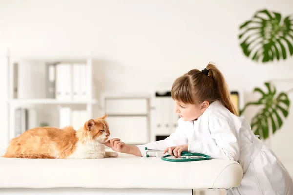 Little Veterinarian Examining Cute Cat Clinic — Stock Photo, Image