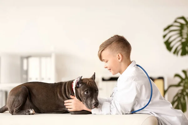 Little Veterinarian Examining Cute Dog Clinic — Stock Photo, Image