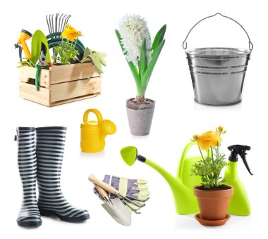 Beyaz arka planda bitkileri olan bir bahçe ekipmanı.