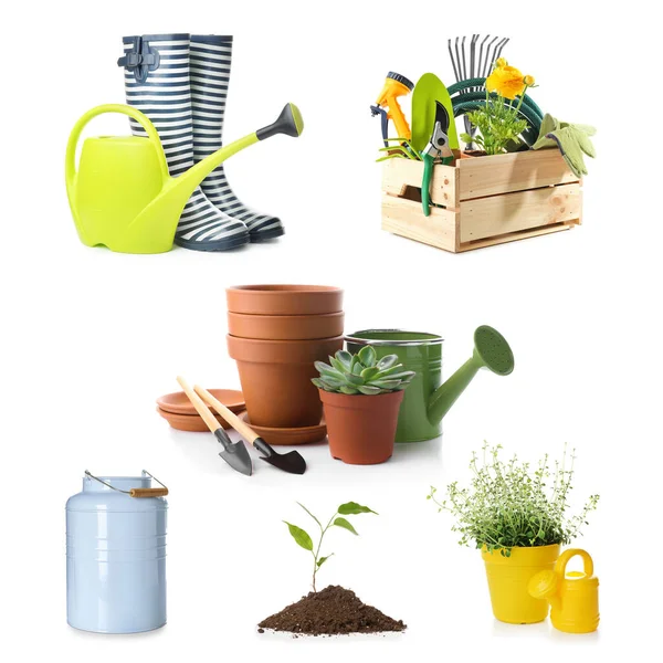 Set Attrezzi Giardinaggio Con Piante Sfondo Bianco — Foto Stock