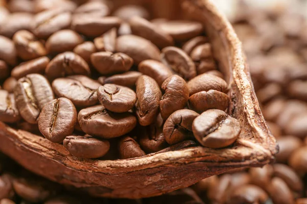 Veel Koffiebonen Met Cacaopod Close — Stockfoto