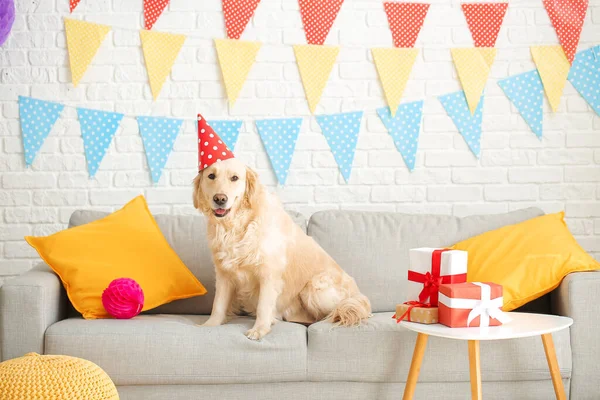 かわいい犬お祝いの誕生日で家 — ストック写真