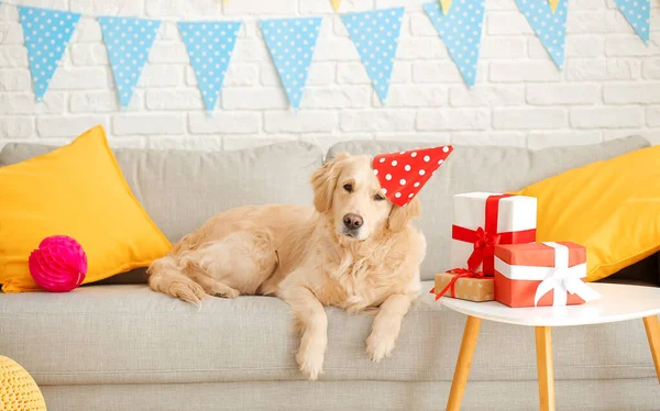 かわいい犬お祝いの誕生日で家 — ストック写真