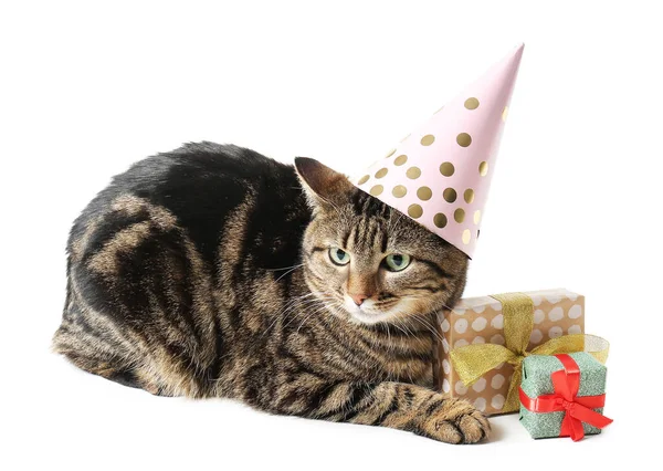 Lindo Gato Sombrero Fiesta Con Regalos Cumpleaños Sobre Fondo Blanco —  Fotos de Stock