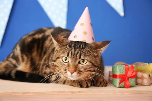 Parti Şapkalı Şirin Kedi Renkli Duvarın Yanında Doğum Günü Hediyeleri — Stok fotoğraf