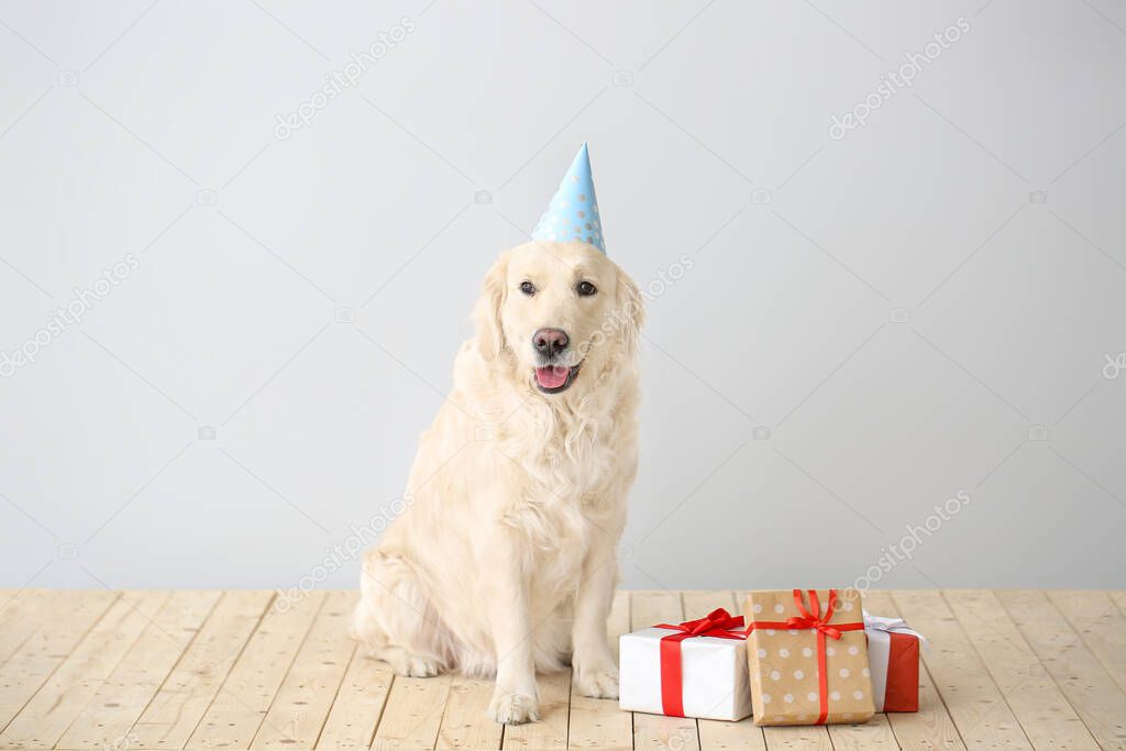 Cute dog in party hat and with gifts on light background