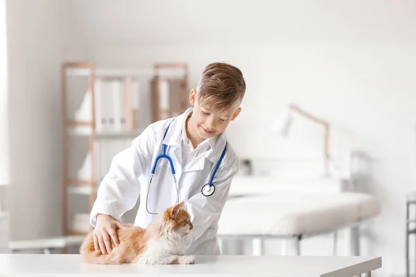 Pequeño Veterinario Examinando Lindo Gato Clínica — Foto de Stock