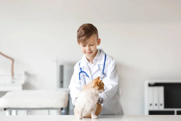 Little Veterinarian Examining Cute Cat Clinic — Stock Photo, Image