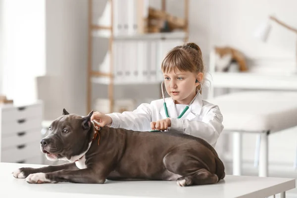 Little Veterinarian Examining Cute Dog Clinic — Stock Photo, Image