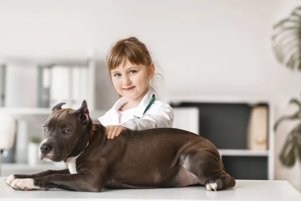 Pequeno Veterinário Examinando Cão Bonito Clínica — Fotografia de Stock