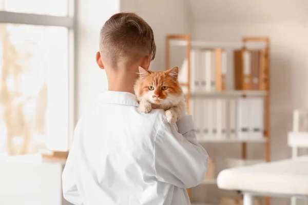 Little Veterinarian Cute Cat Clinic — Stock Photo, Image
