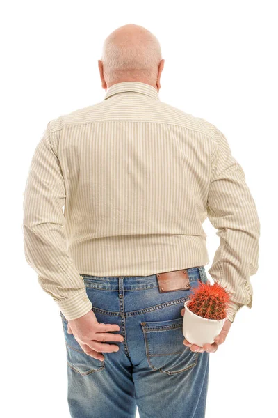 Uomo Anziano Con Cactus Che Soffre Emorroidi Sfondo Bianco — Foto Stock