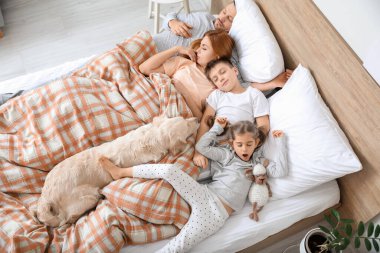 Köpekli mutlu bir aile evde uyuyor.