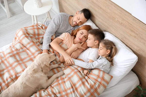 Gelukkig Gezin Met Hond Slapen Bed Thuis — Stockfoto